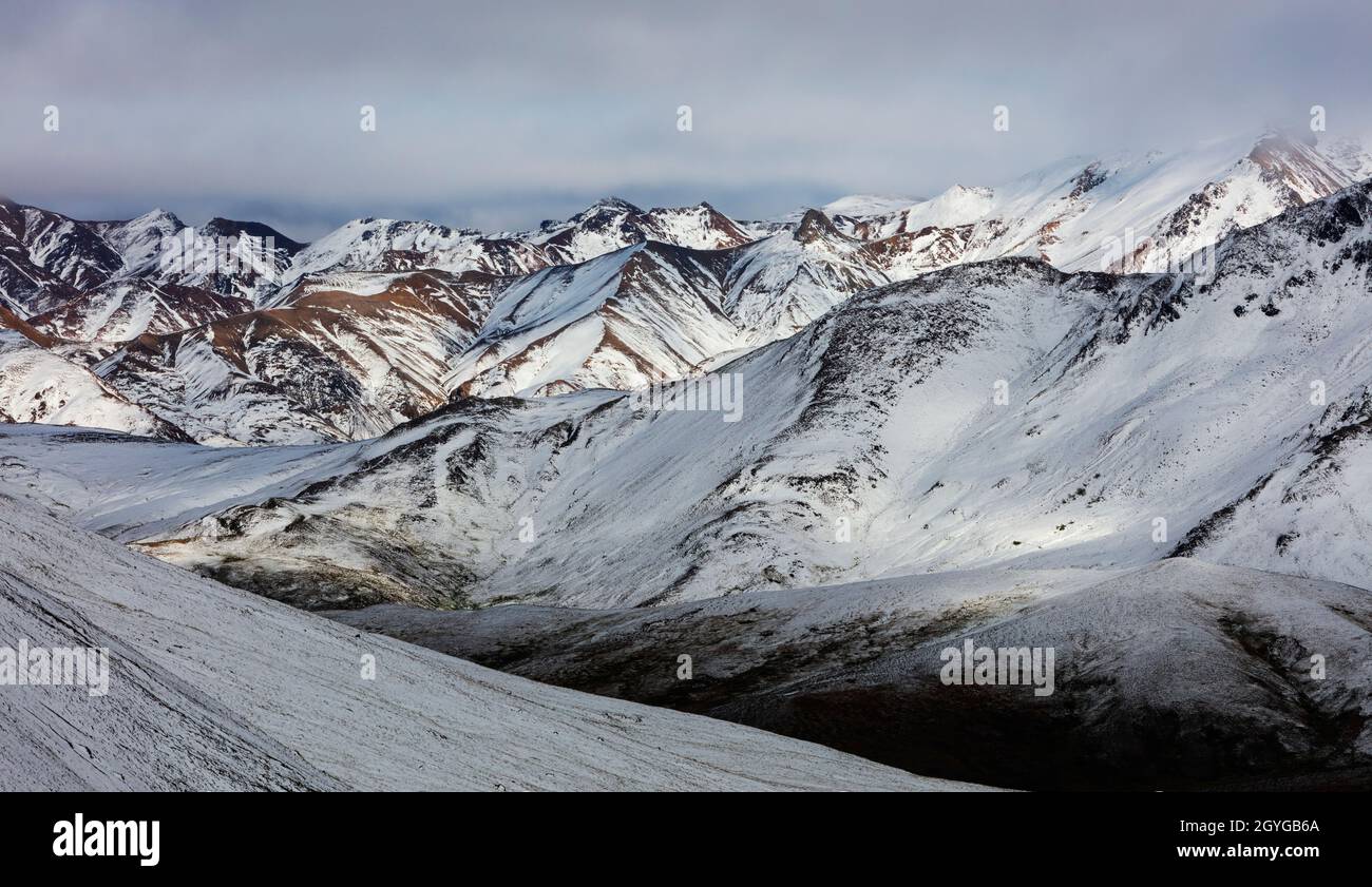 La CATENA MONTUOSA DELL'ALASKA sovrasta la tundra nel DENALI NATIONAL PARK, ALASKA Foto Stock