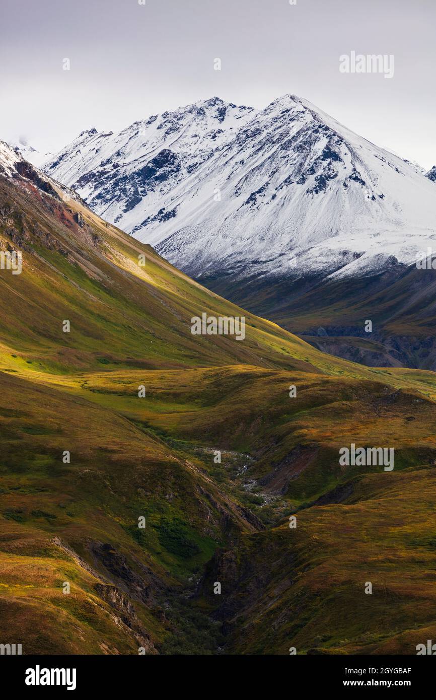 Vista DELLA GAMMA DELL'ALASKA vicino al punto di osservazione di Eielson al Mile 66 - DENALI NATIONAL PARK Foto Stock