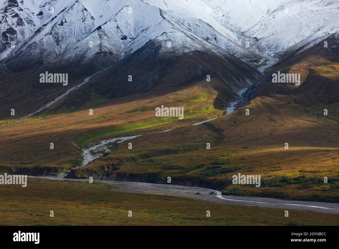 Vista DELLA GAMMA DELL'ALASKA vicino al punto di osservazione di Eielson al Mile 66 - DENALI NATIONAL PARK Foto Stock