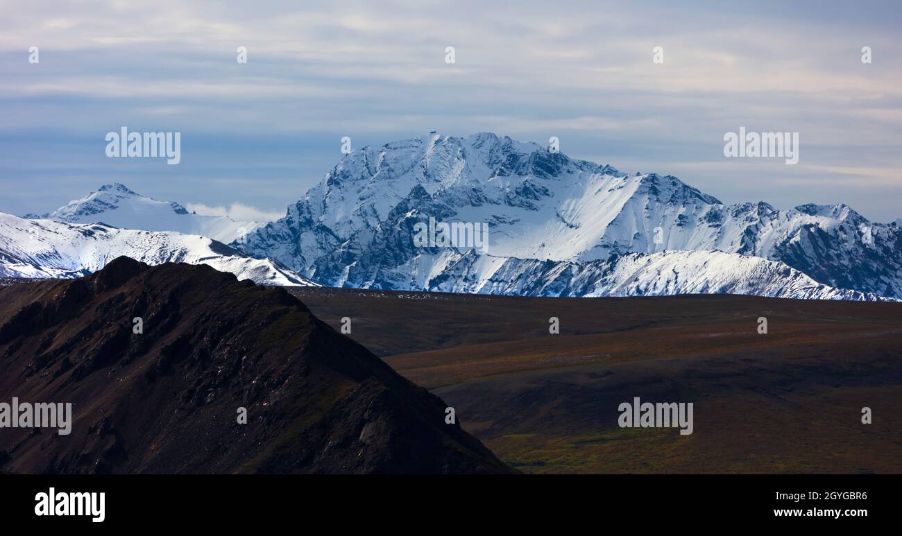La CATENA MONTUOSA DELL'ALASKA sovrasta la tundra nel DENALI NATIONAL PARK, ALASKA Foto Stock