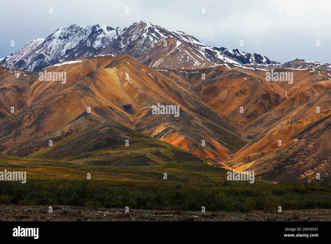 L'AREA POLICROMA (unità 31) e la Toklat River Valley sono uniche per le loro rocce e minerali multicolore - DENALI NATIONAL PARK, ALASKA Foto Stock