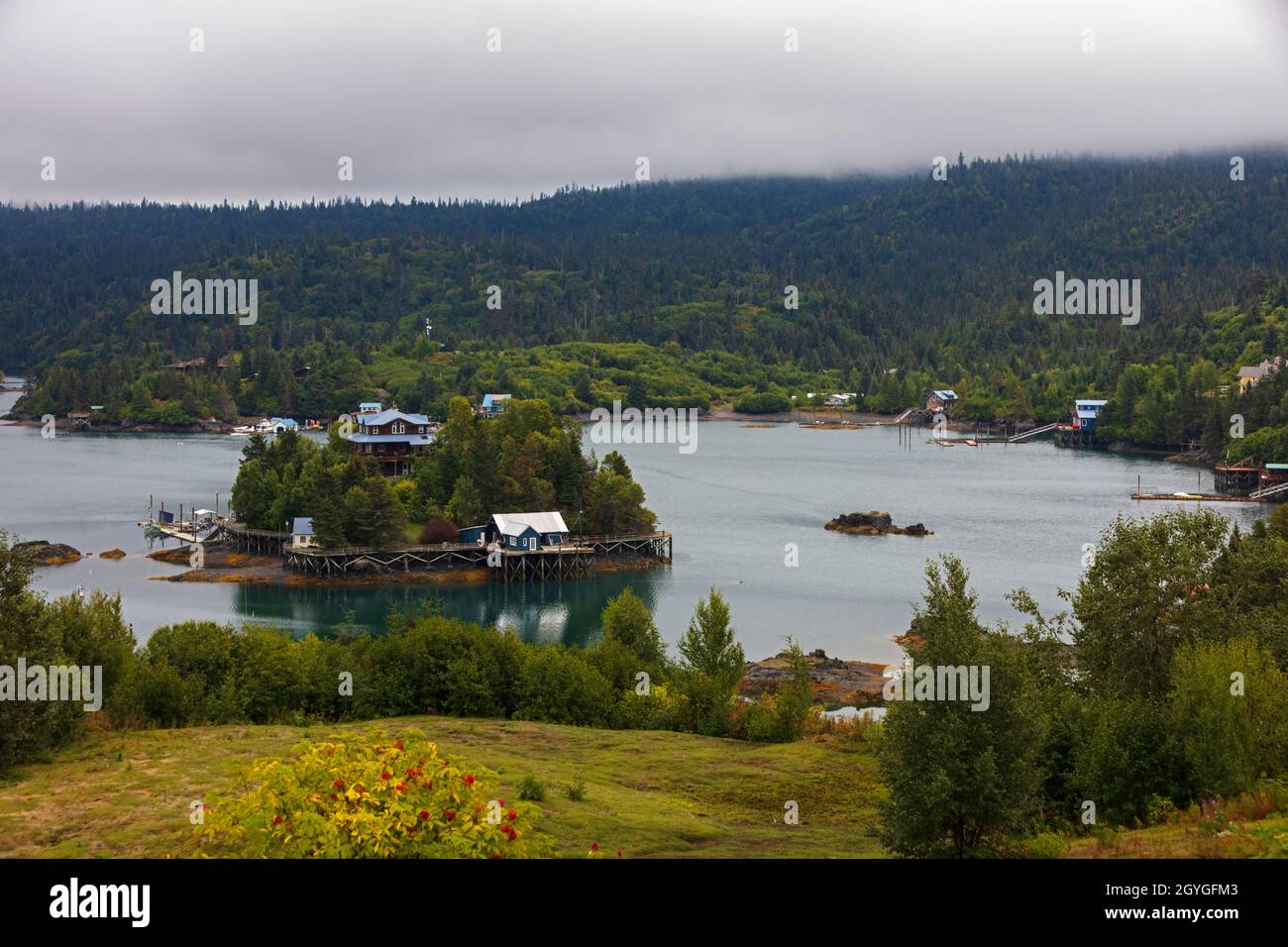 L'HALIBUT COVE a KACHEMAK BAY è raggiungibile con un giro in barca di 1 ora da HOMER, ALASKA. Foto Stock