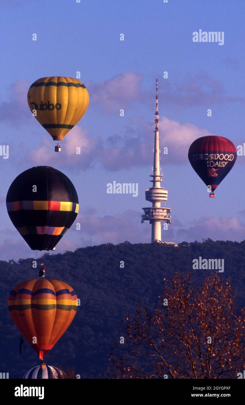 Lo spettacolare mongolfiera di Canberra si svolge ogni anno. I mongolfiere possono essere visti qui e sullo sfondo si trova la Telstra Tower sulla montagna Nera. Foto Stock