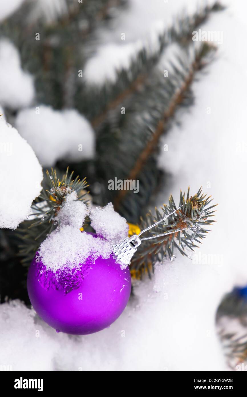Piccolo albero di Natale con pallina viola coperta di neve, foto verticale Foto Stock