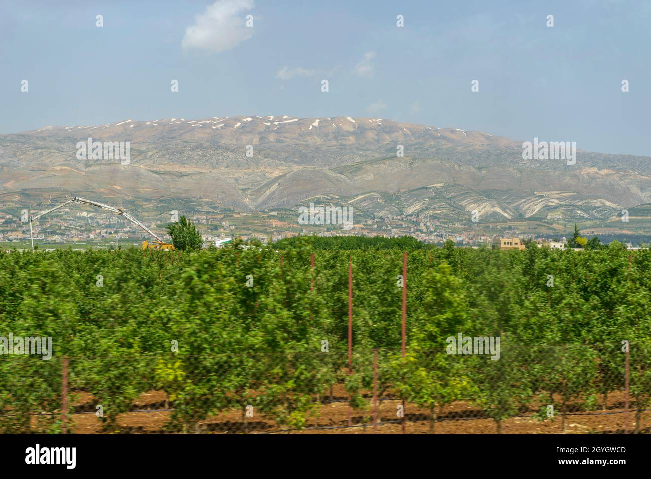 LIBANO, BAALBEK-HERMEL, VALLE BEQAA E MONTE LIBANO Foto Stock