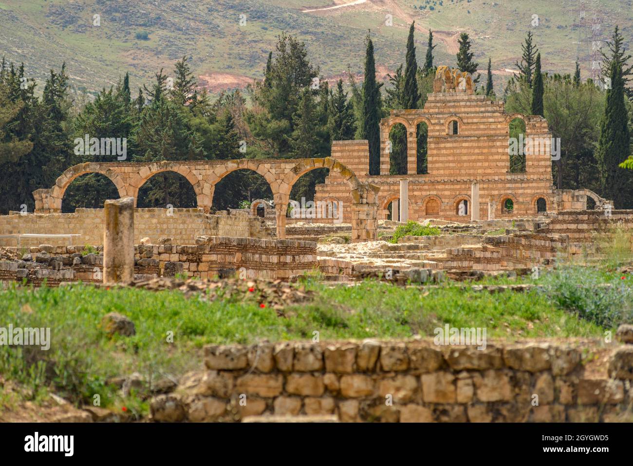 LIBANO, BEKAA, VALLE BEQAA, ROVINE DELLA CITTÀ DI ANJAR UMAYYYAD (PATRIMONIO MONDIALE DELL'UNESCO) Foto Stock