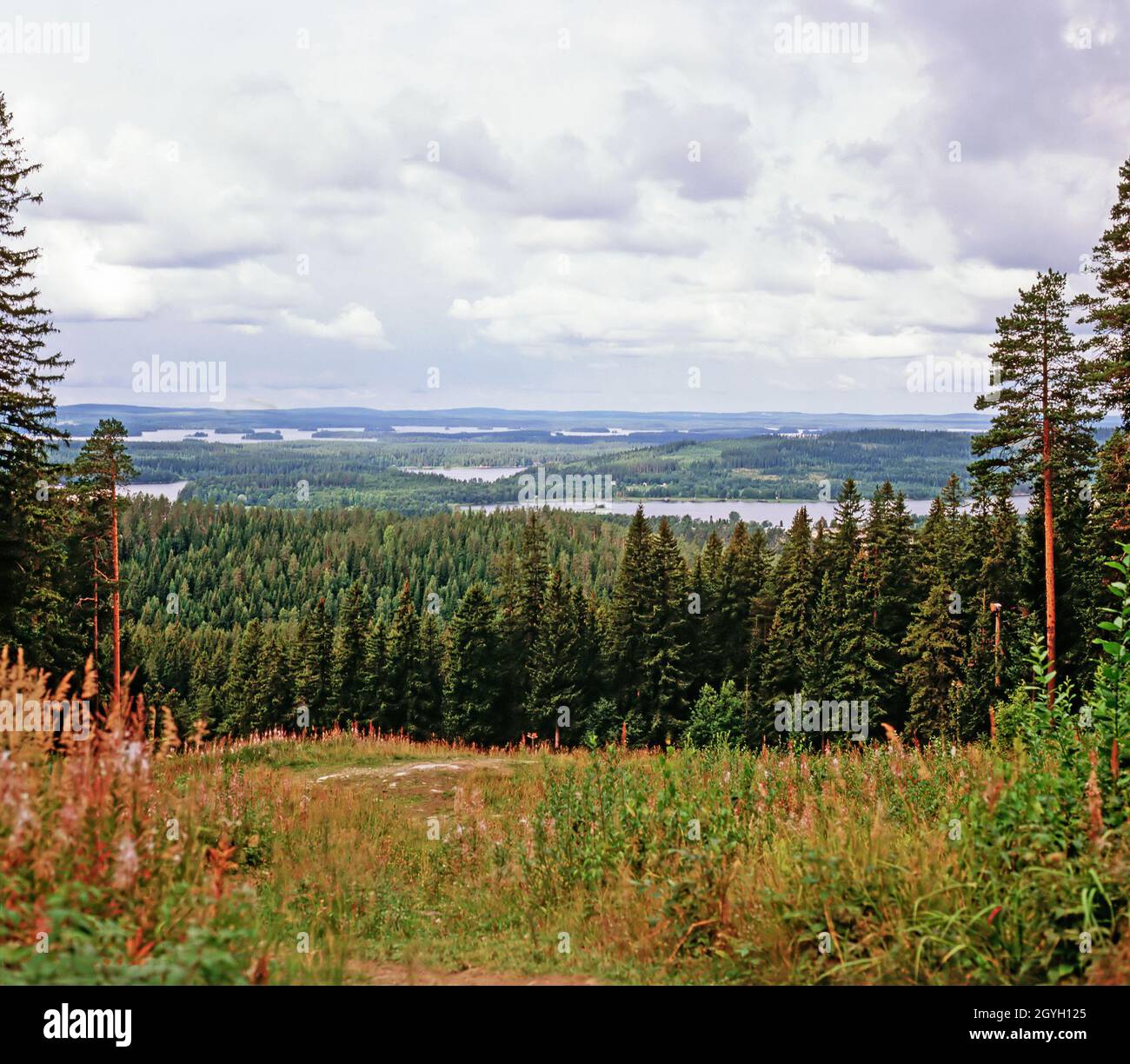 Paesaggio con laghi, Finlandia Foto Stock