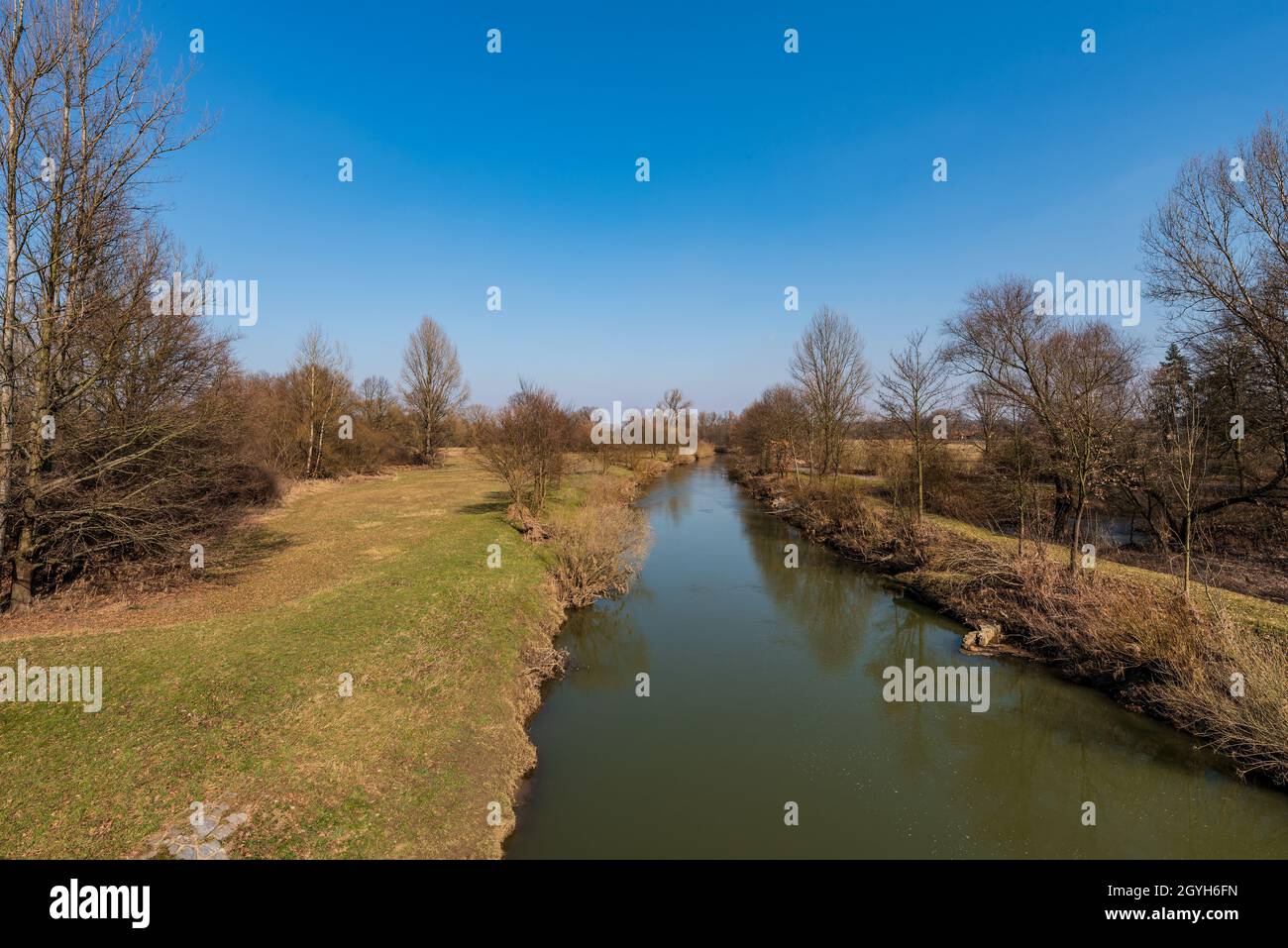 Fiume Odra con alberi e prato intorno a CHKO Poodri in repubblica Ceca durante la prima giornata di primavera con cielo limpido Foto Stock