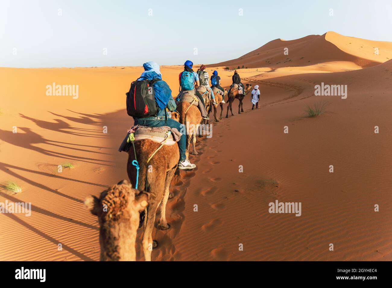 Una carovana di cammelli con turisti si muove attraverso le dune del deserto del Sahara in Marocco Foto Stock