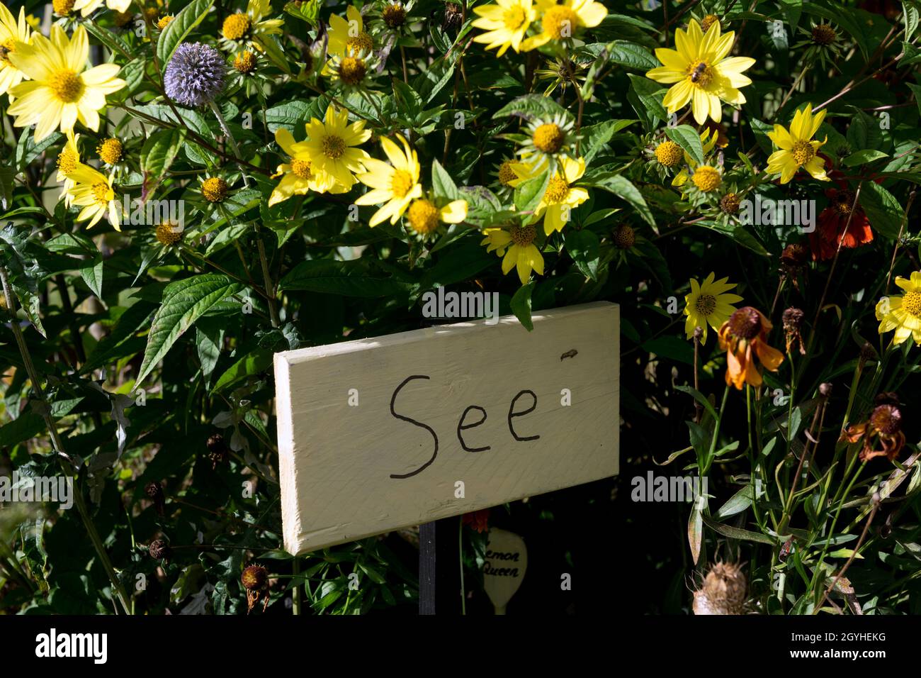 Il Community Sensory Garden, War Memorial Park, Coventry, West Midlands, Inghilterra, REGNO UNITO Foto Stock