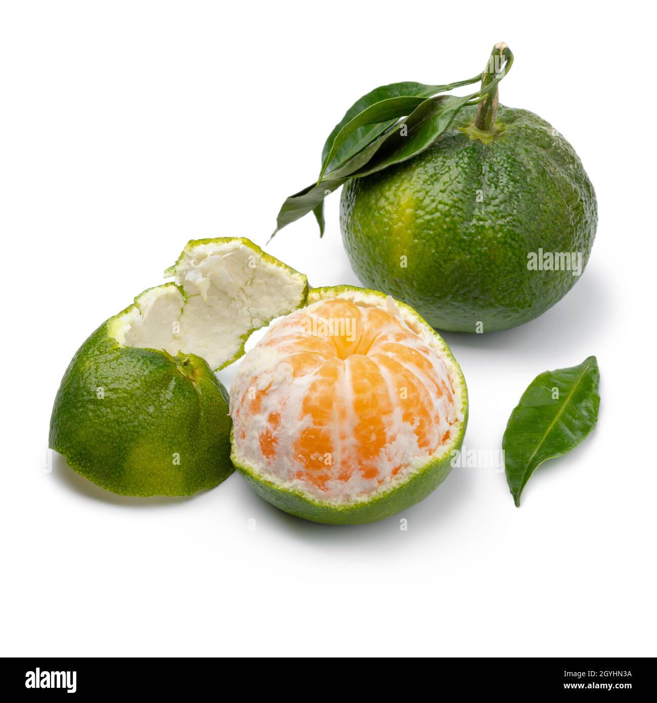 Mandarino verde e uno sbucciato isolato su sfondo bianco da vicino Foto Stock