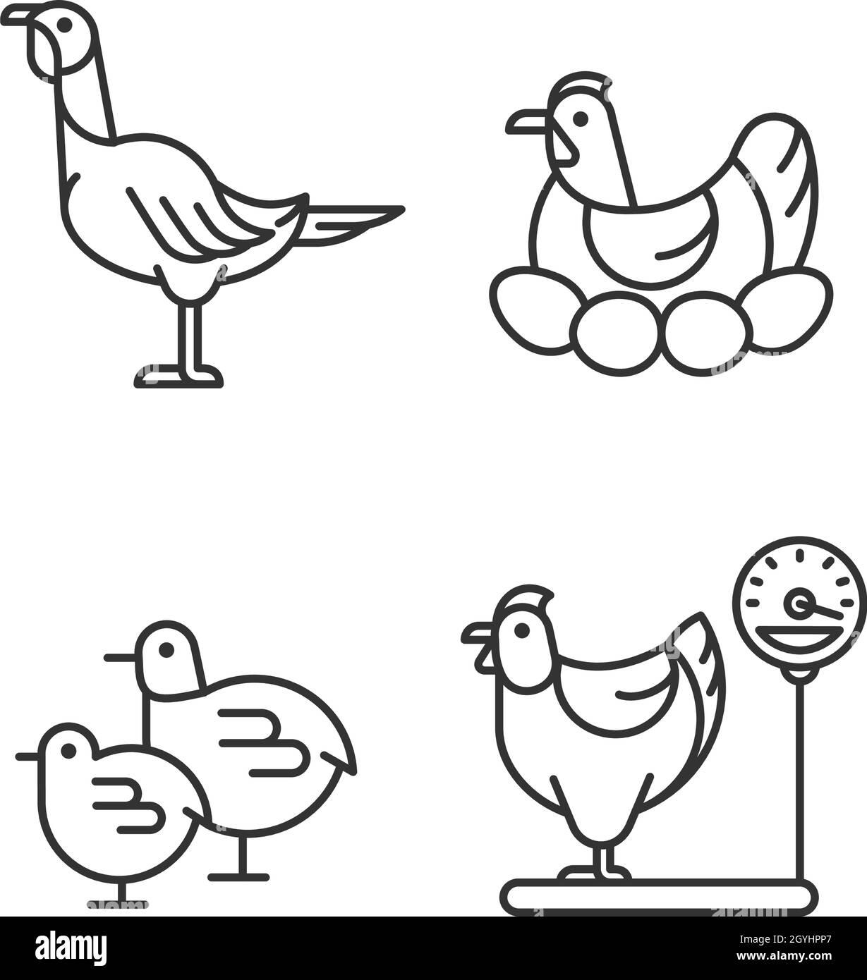 Icone lineari per galline domestiche impostate Illustrazione Vettoriale