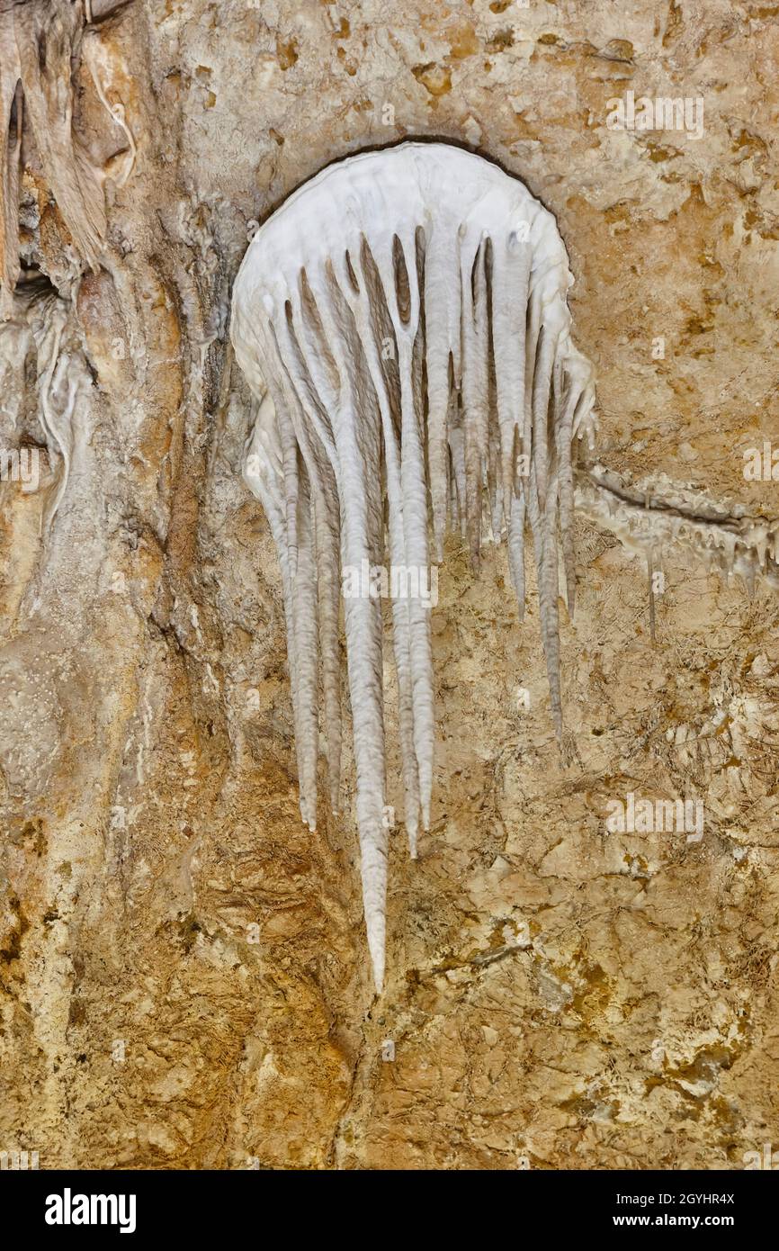 Curiosa stalattite a forma di medusa. Grotte Campanet a Maiorca. Spagna Foto Stock