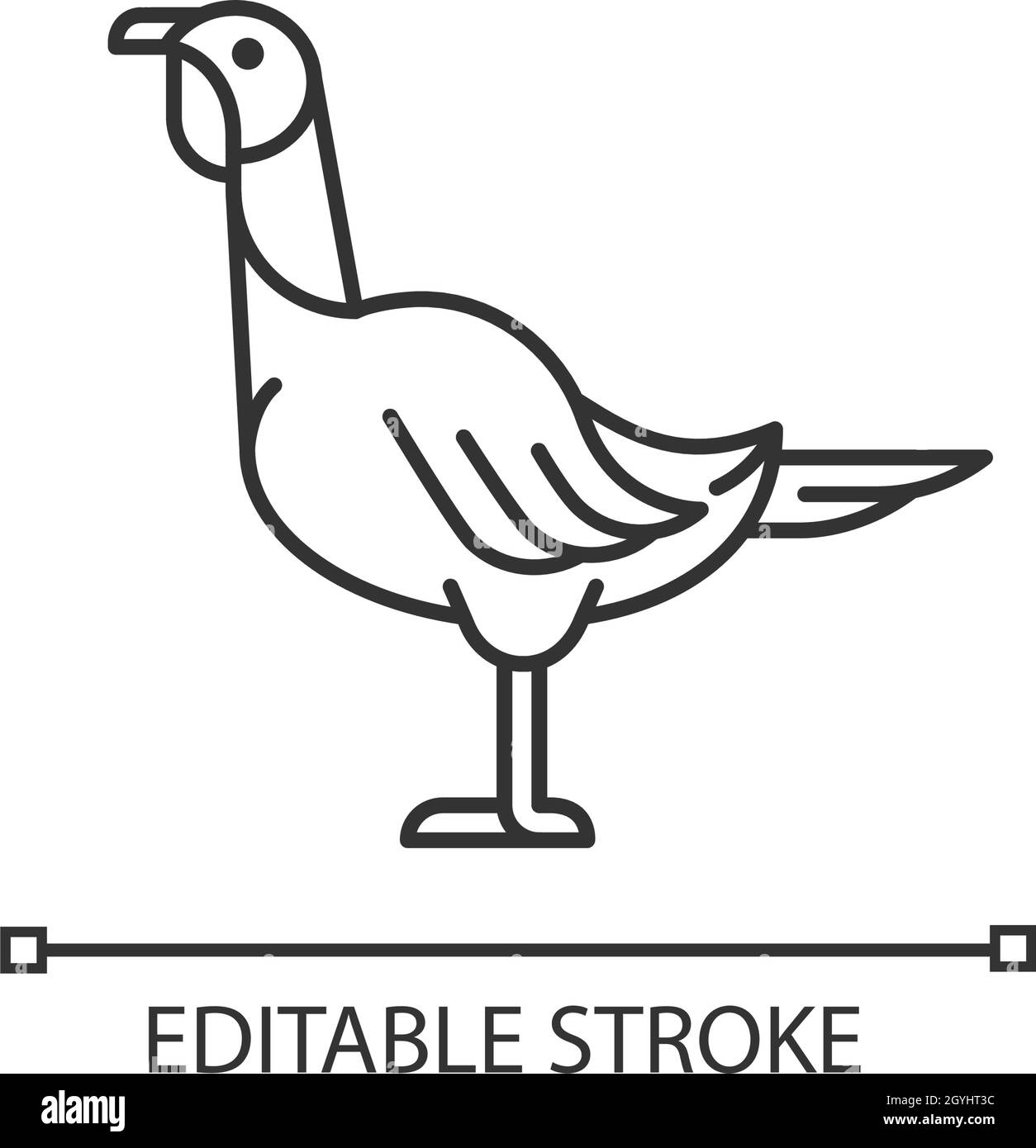 Icona della Turchia lineare femminile Illustrazione Vettoriale