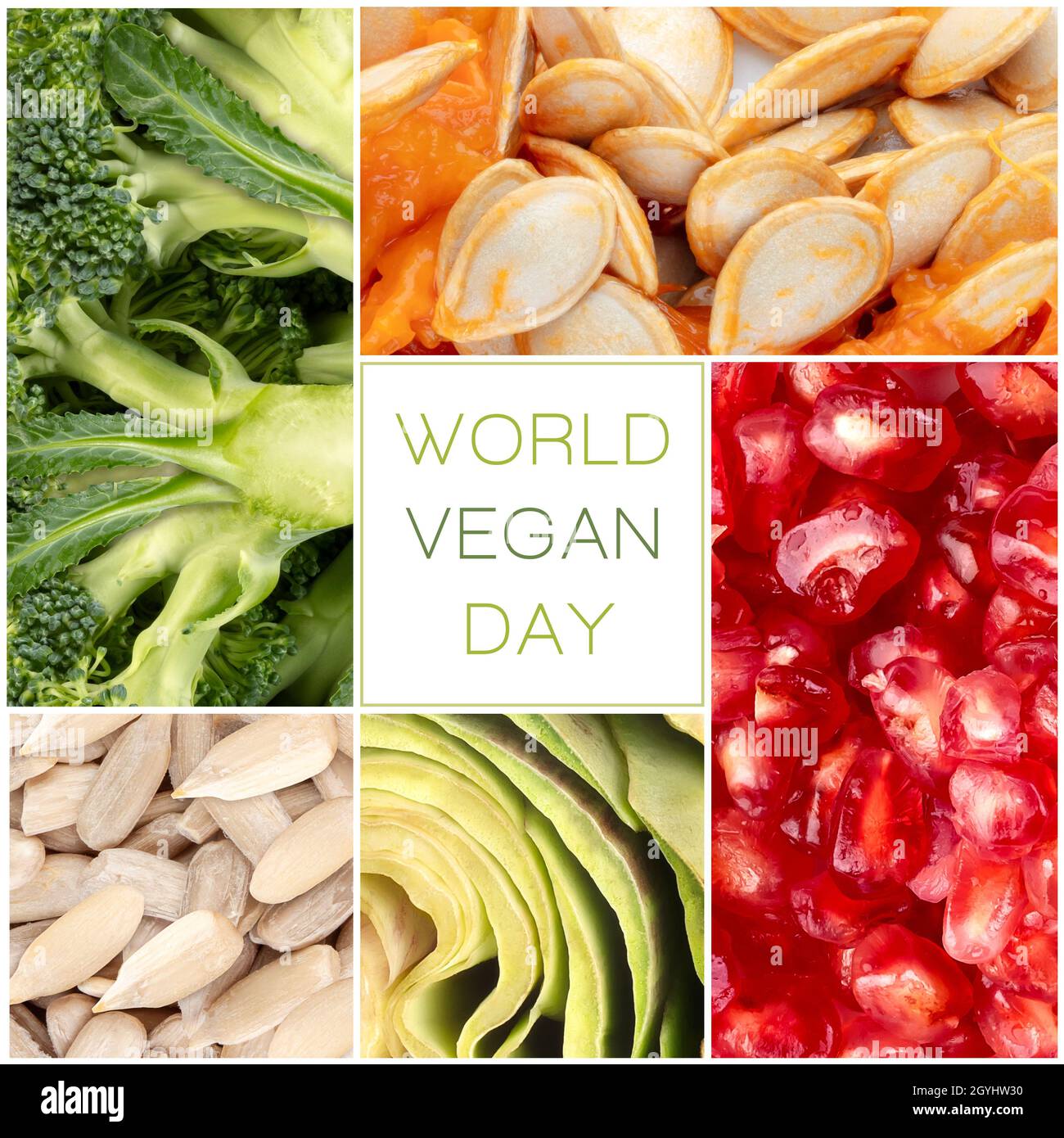 Design poster World Vegan Day con verdure fresche e sane, frutta e semi tra cui broccoli, zucca, semi di girasole e melograno, disposti in Foto Stock