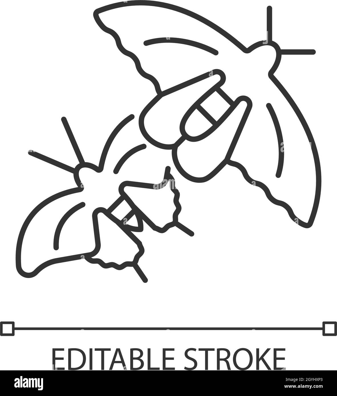 Farfalle di Singapore icona lineare Illustrazione Vettoriale