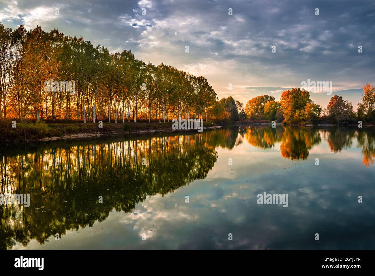 La splendida luce del tramonto brilla attraverso una fila di pioppi sulla riva del po nei pressi di Carignano, in Piemonte Foto Stock
