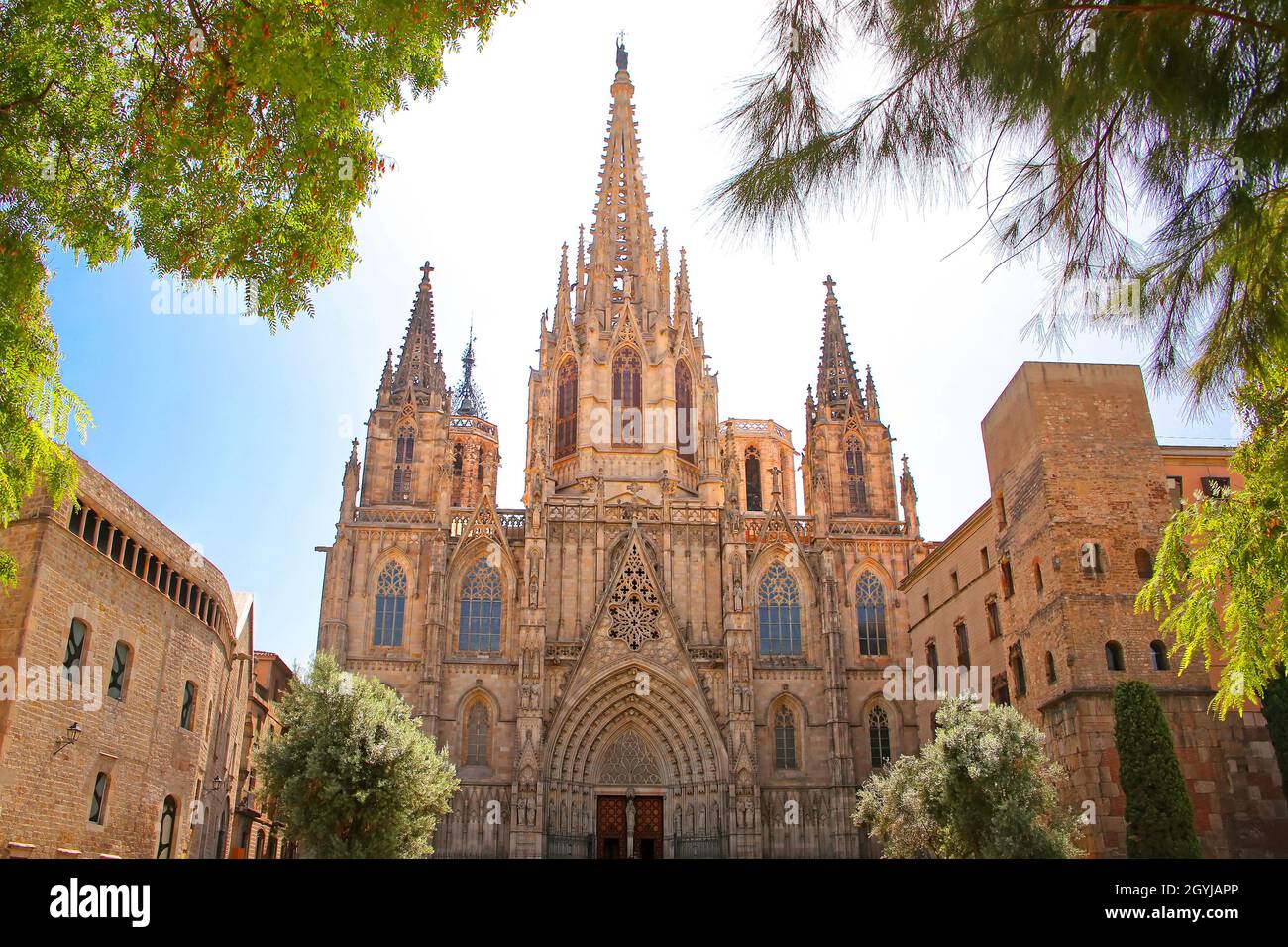 La Cattedrale di Barcellona, conosciuta anche come la Seu, e la Cattedrale della Santa Croce e di Sant'Eulalia, risale al 11th secolo, Barcellona, Spagna. Foto Stock