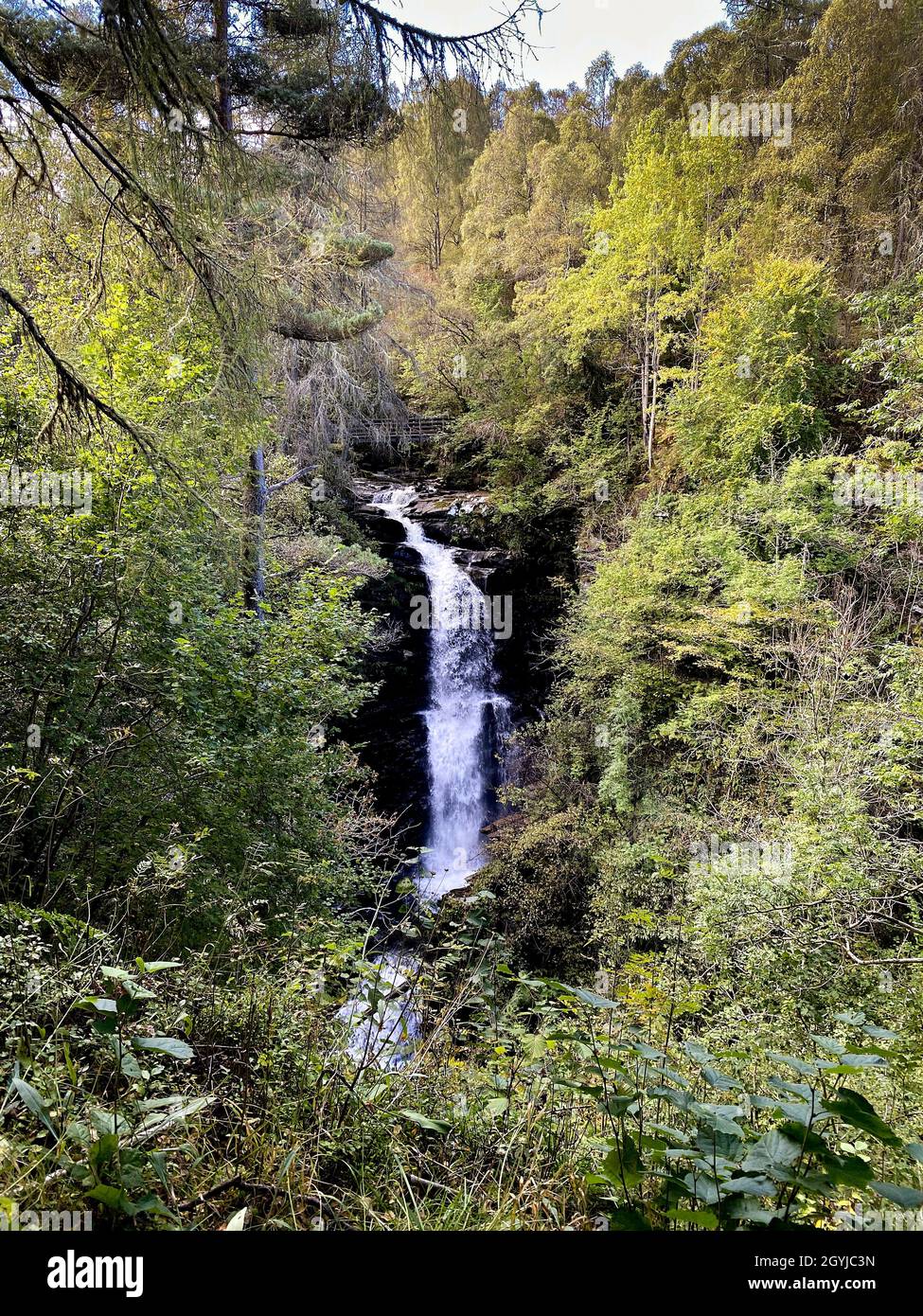 Birks di Aberfeldy, Perthshire Scozia Scotland Foto Stock