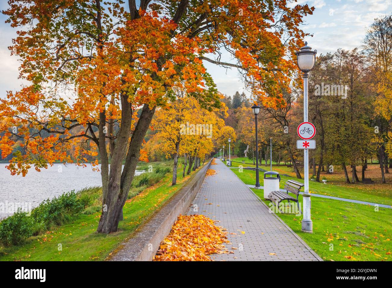 Lituania natura in autunno. Bellissimo paesaggio lituano in autunno. Fiume Nemunas in città Birstonas, Dzukija regione etnografica della Lituania. Foto Stock