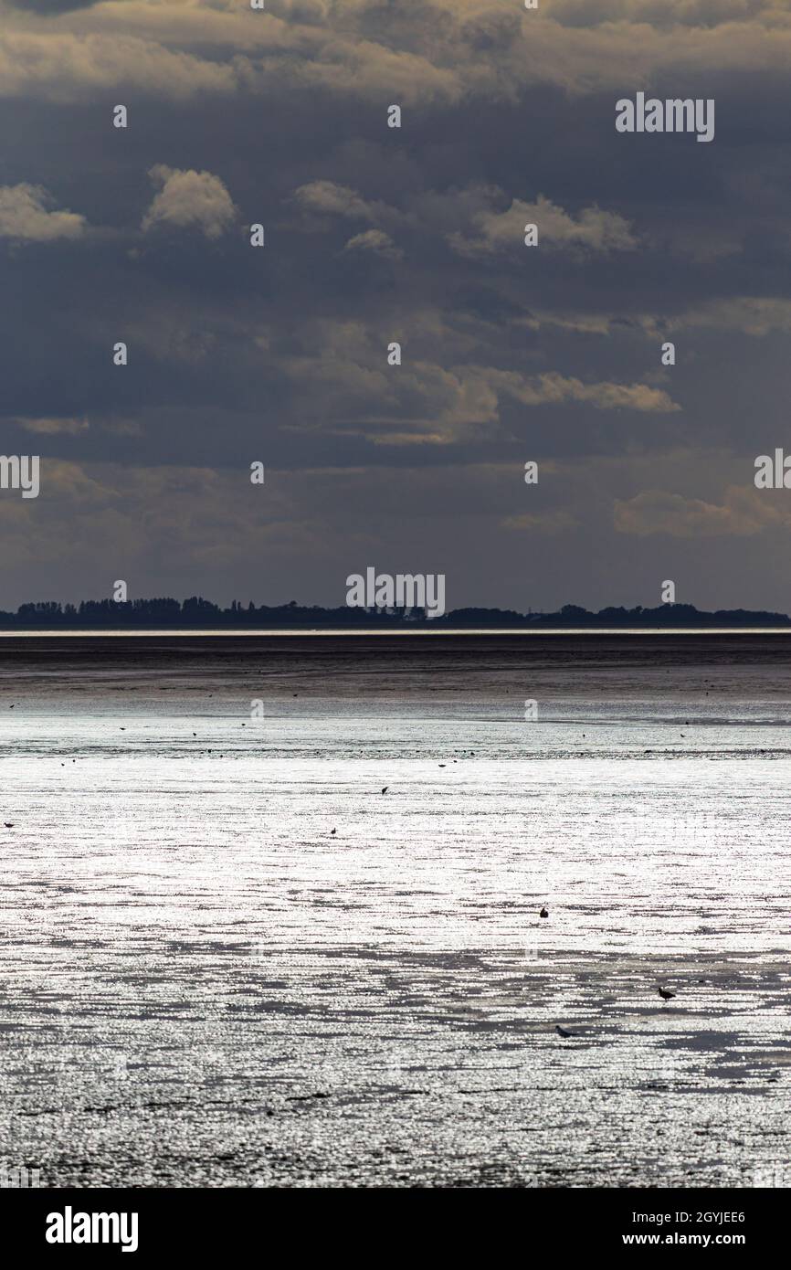 Immagine astratta guardando attraverso il lavaggio a bassa marea dalla spiaggia a Snettisham Foto Stock
