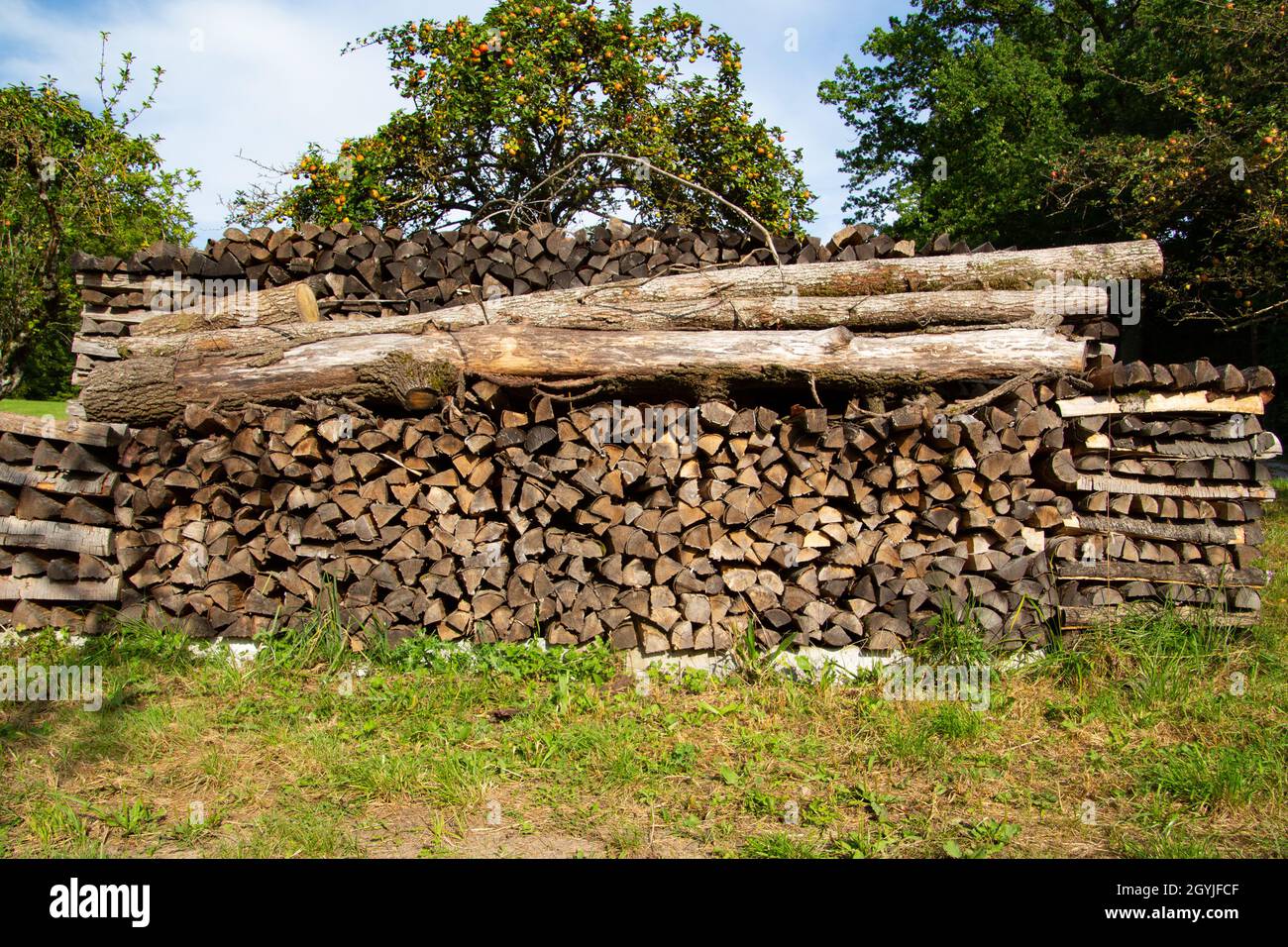 Tronchi di albero giacciono su una pila di legna da ardere pronta per essere tritata Foto Stock