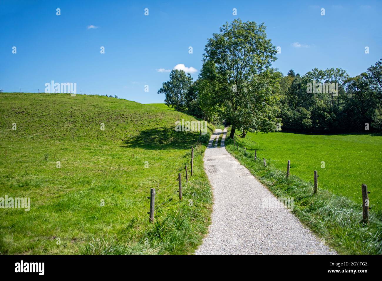 Paesaggio rurale attraverso i campi verdi e gli alberi in una chiara giornata di sole Foto Stock