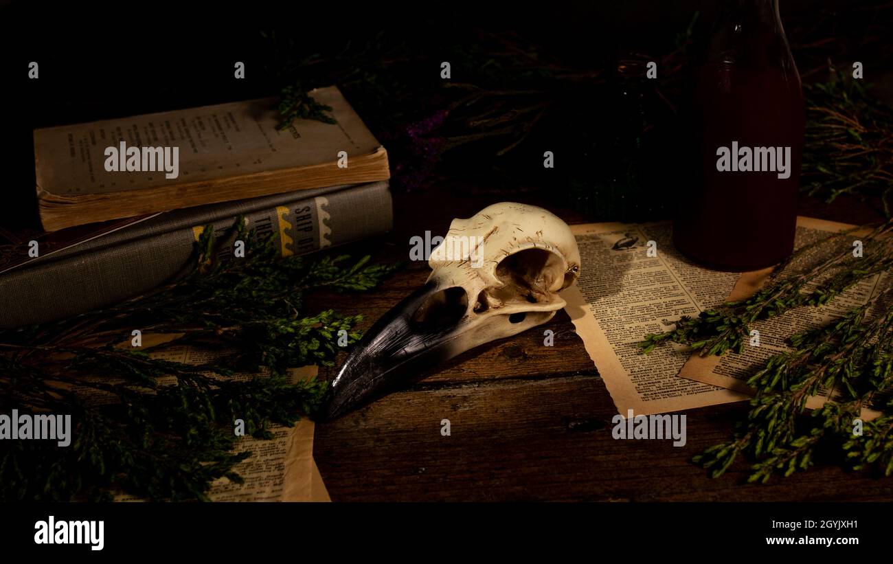 Halloween Magical Mystic Raven Skull Witch House Table altare di legno scuro con piante e gimoire Foto Stock
