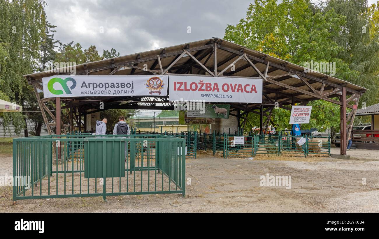 Novi Sad, Serbia - 21 settembre 2021: Pastorizia all'Agriculture Expo Trade Fair. Foto Stock