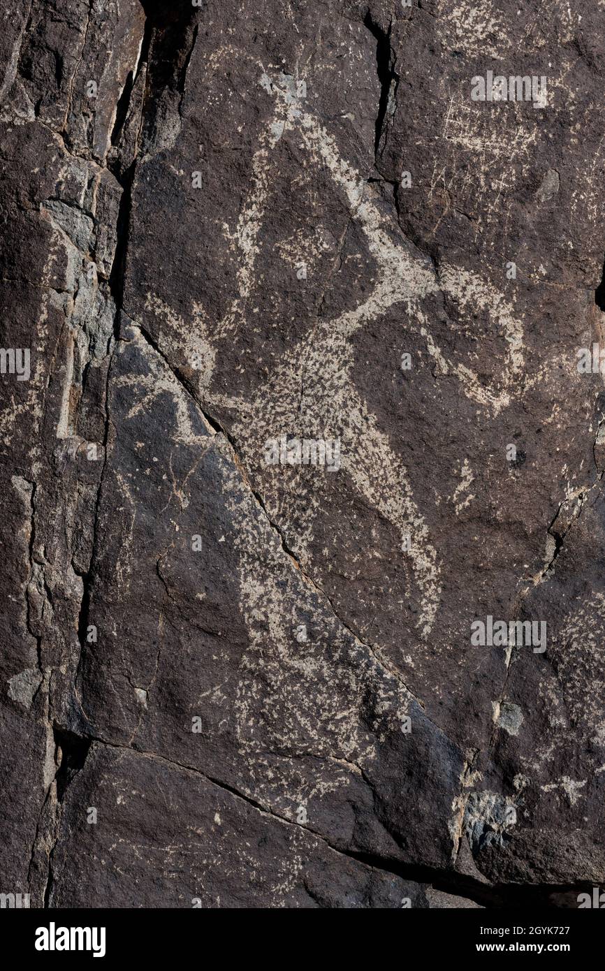 Un roadrunner con un serpente scolpito su un masso di basalto nel Three Rivers Petroglyph Site, New Mexico. Foto Stock