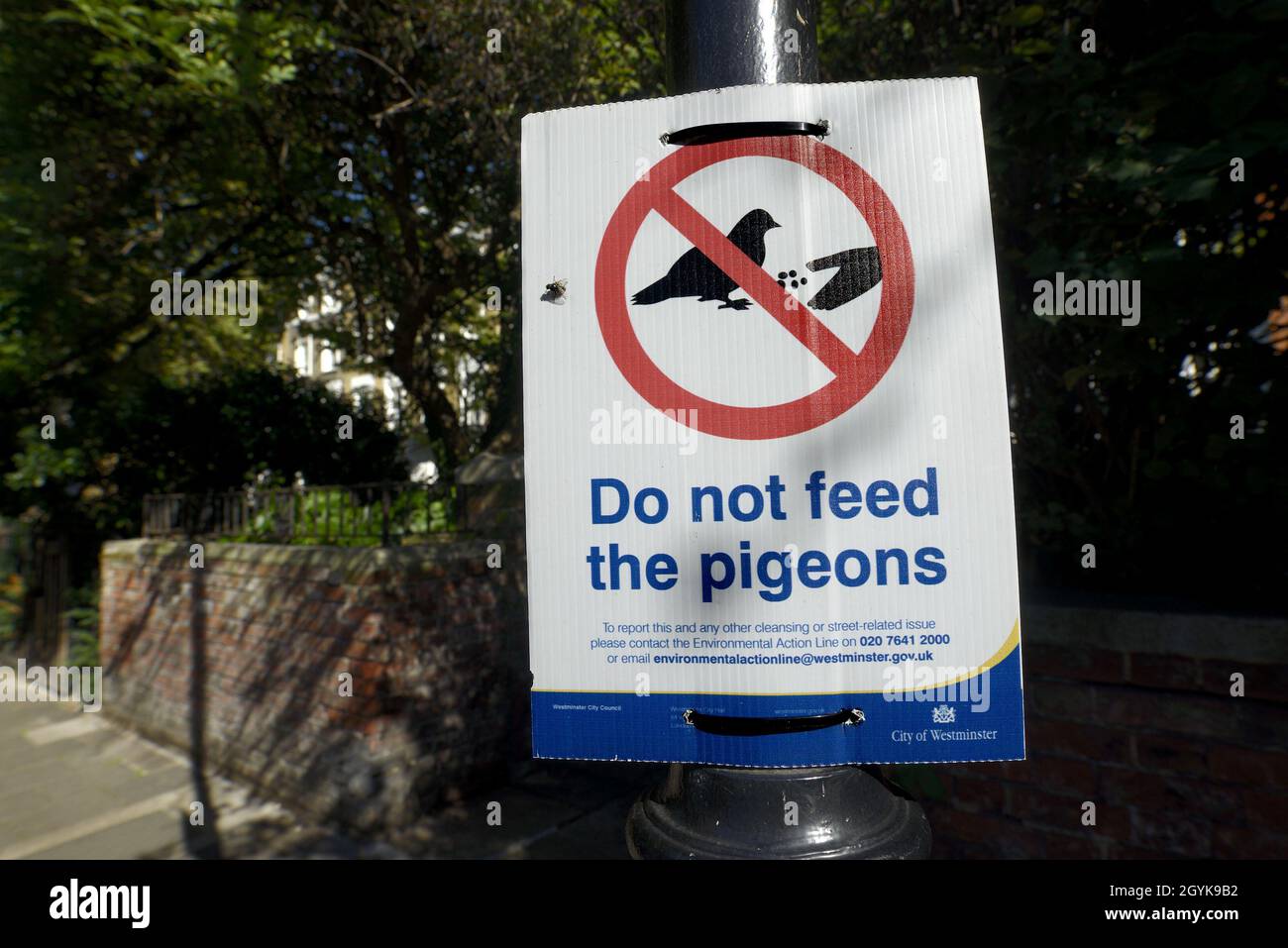 Londra, Inghilterra, Regno Unito. Non alimentare il cartello Pigeons in una strada a Kensington Foto Stock