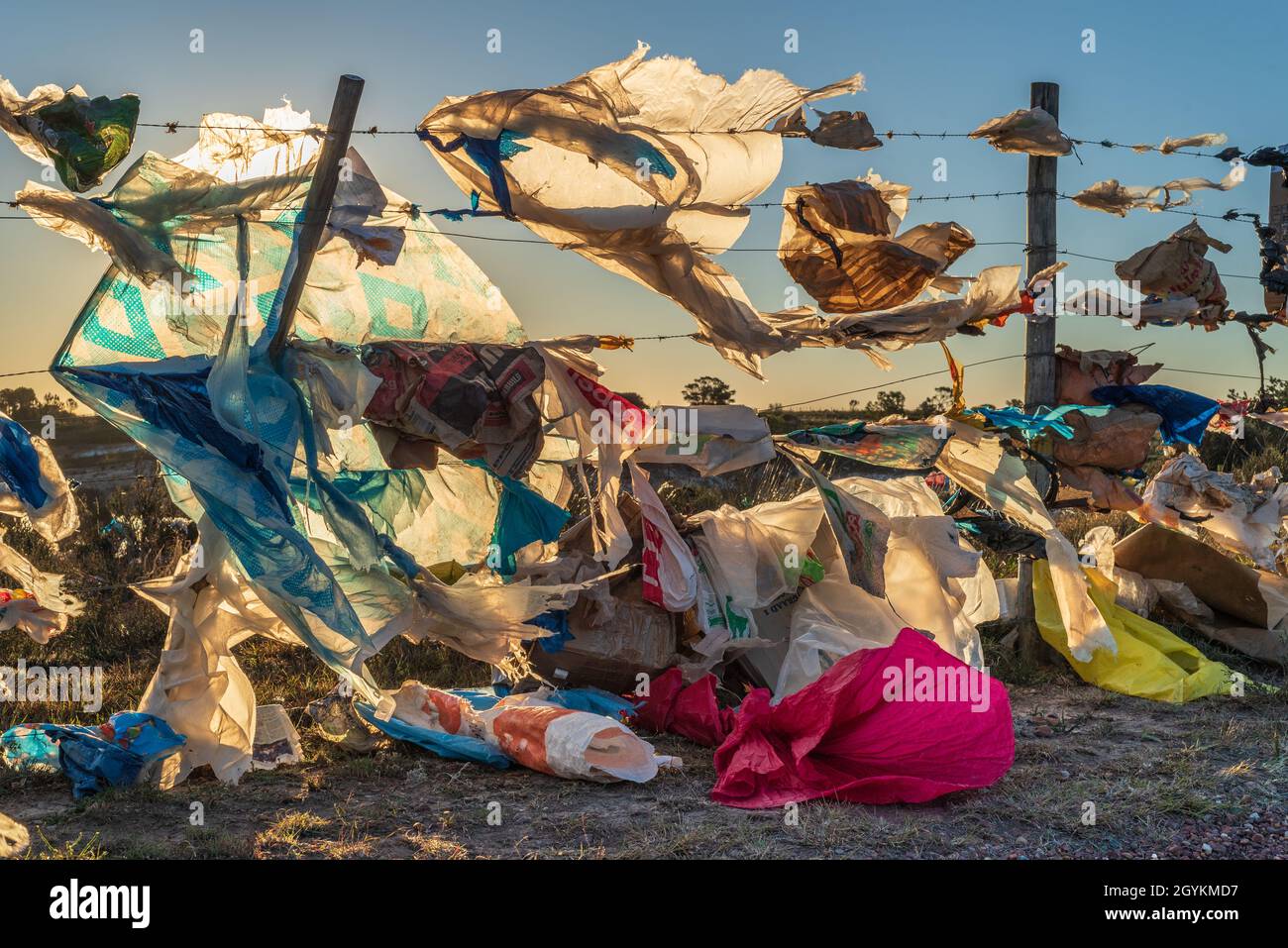 Borse di plastica soffiate dal vento catturate su una recinzione a Grahamstown/Makhana, Capo Orientale, Sudafrica, 25 luglio 2019. Foto Stock