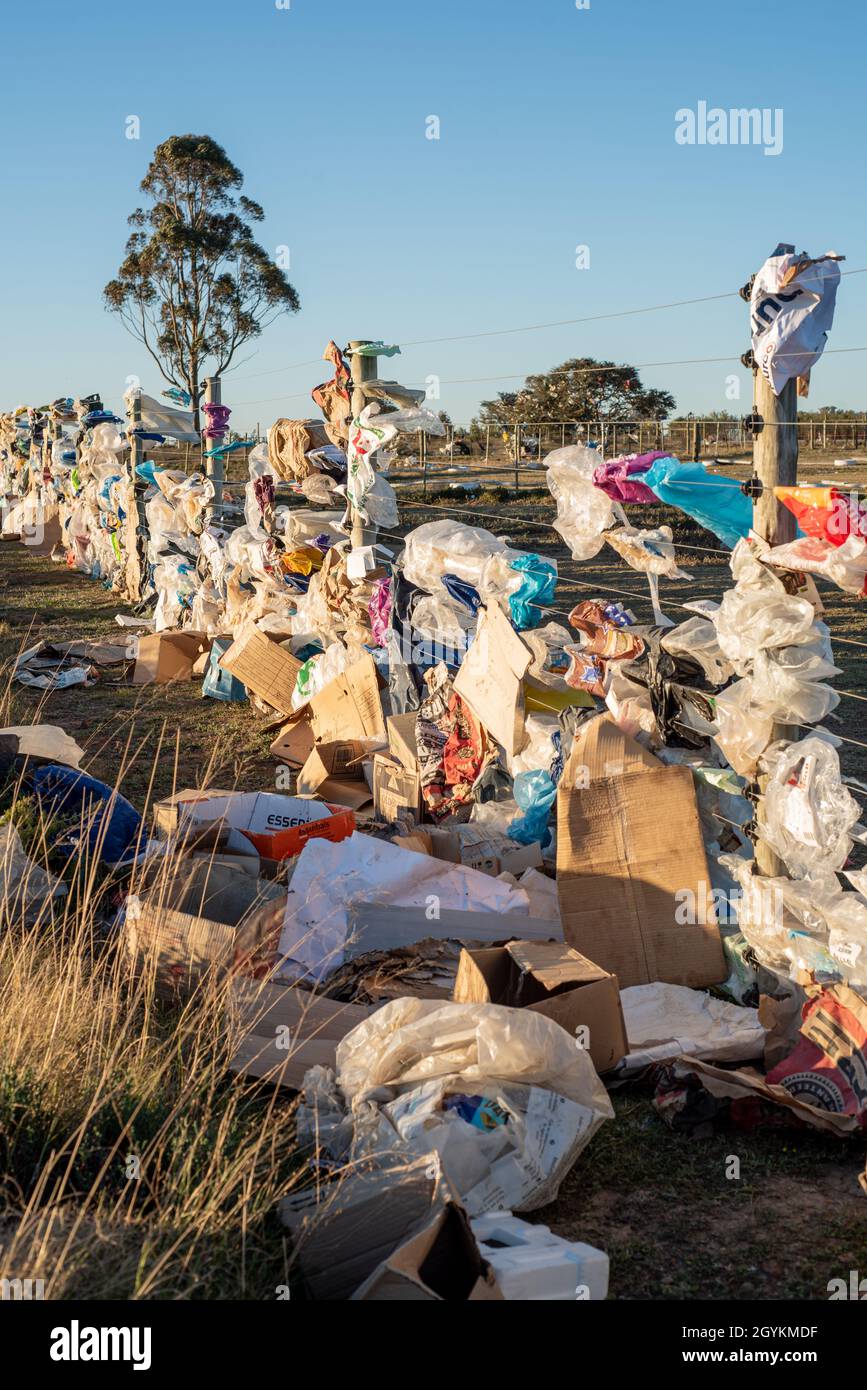 Borse di plastica soffiate dal vento catturate su una recinzione a Grahamstown/Makhana, Capo Orientale, Sudafrica, 25 luglio 2019. Foto Stock