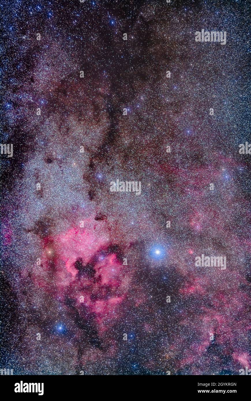Una regione a contrasto della Via Lattea, con la nebulosa ad emissione luminosa, il Nord America (alias NGC 7000), al di sotto della massa scura della Neb Foto Stock