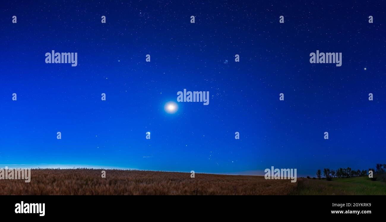 Le stelle del cielo invernale settentrionale sorgendo all'alba del 14 agosto 2020, da casa nell'Alberta meridionale. La luna crescente che sta svanendo è ove Foto Stock