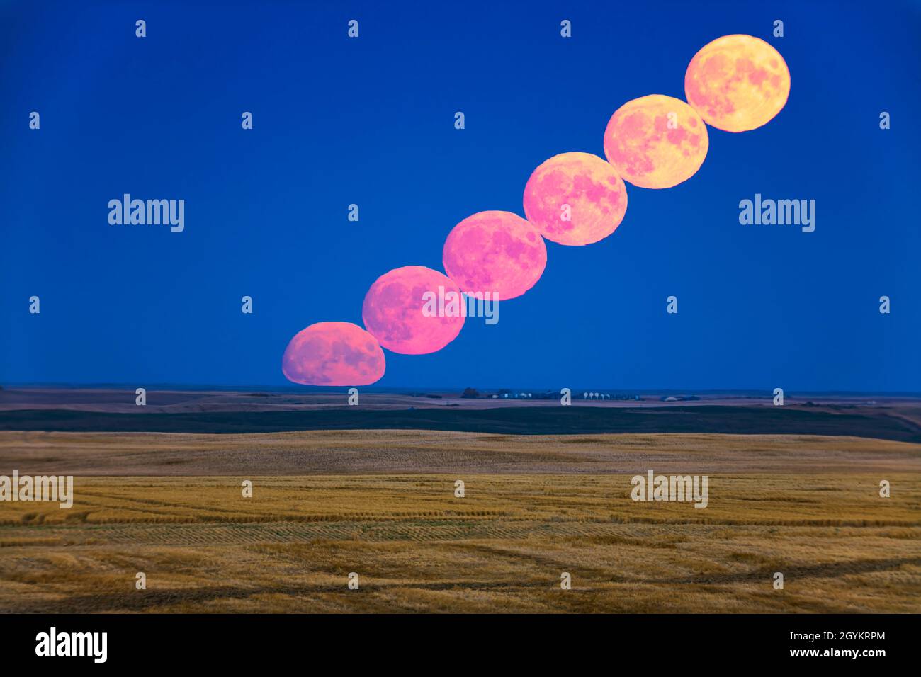 Il sorgere della Luna quasi piena, la Luna di raccolto del 2020, il 30 settembre, da un sito vicino a casa in Alberta, guardando appena a sud del dovuto Oriente questo n Foto Stock