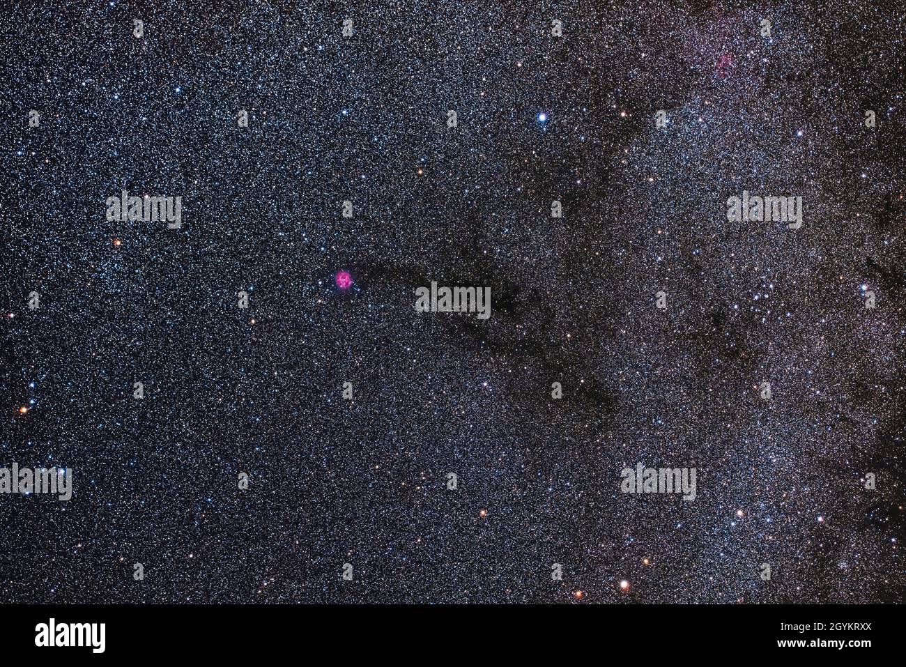 Quest'area di Cygnus che contiene la circolare Cocoon Nebula, alias IC 5146, situata alla fine della lunga nebulosa scura chiamata il Sigaro scuro ma offici Foto Stock