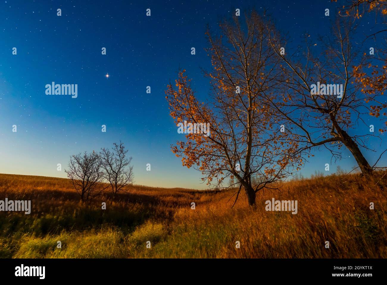 Marte al suo approccio più vicino alla Terra per altri 15 anni, il 5 ottobre 2020, con aspens autunno. Scattata da casa con la Luna in pegno fuori fotocamera pr Foto Stock