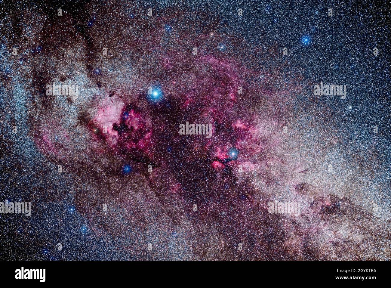 Il brillante Cygnus Starnube (a destra) e la raccolta di nebulose a emissione rossa nel centro di Cygnus, compresa la Nebula Nord America (NGC 7000) a sinistra Foto Stock