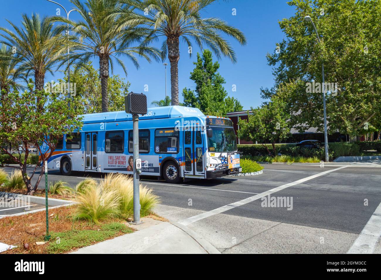 Brea, CA, USA – 1° agosto 2021: Un autobus OCTA si fermò a un punto di incrocio uscendo dal centro commerciale Brea nella città di Orange County, Brea, California. Foto Stock