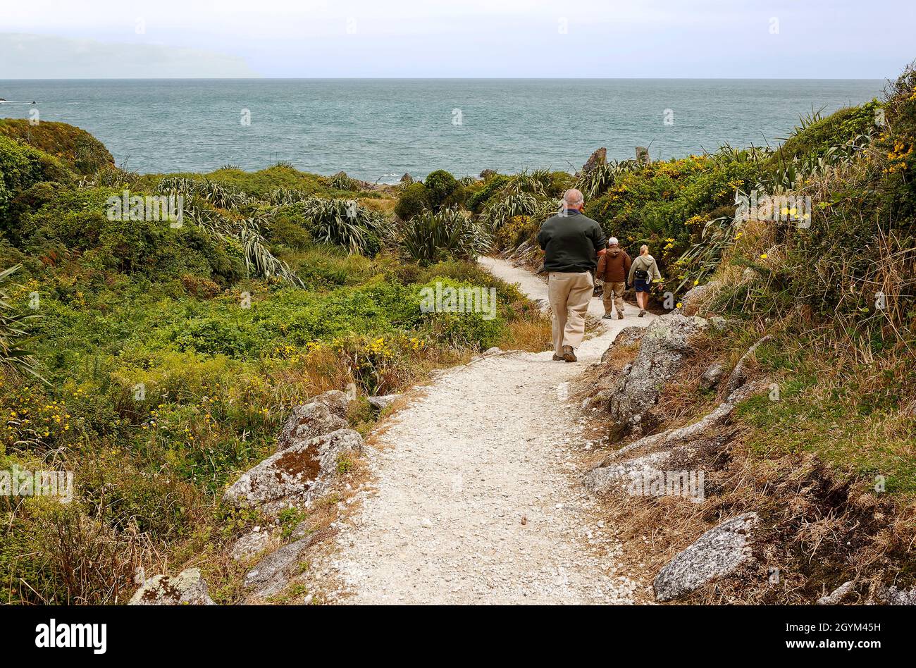 Cape Foulwind Walkway, Tauranga Bay; 3 persone a piedi, sentiero di ghiaia stretta, vegetazione verde, South Island, West Coast, Nuova Zelanda, MR Foto Stock