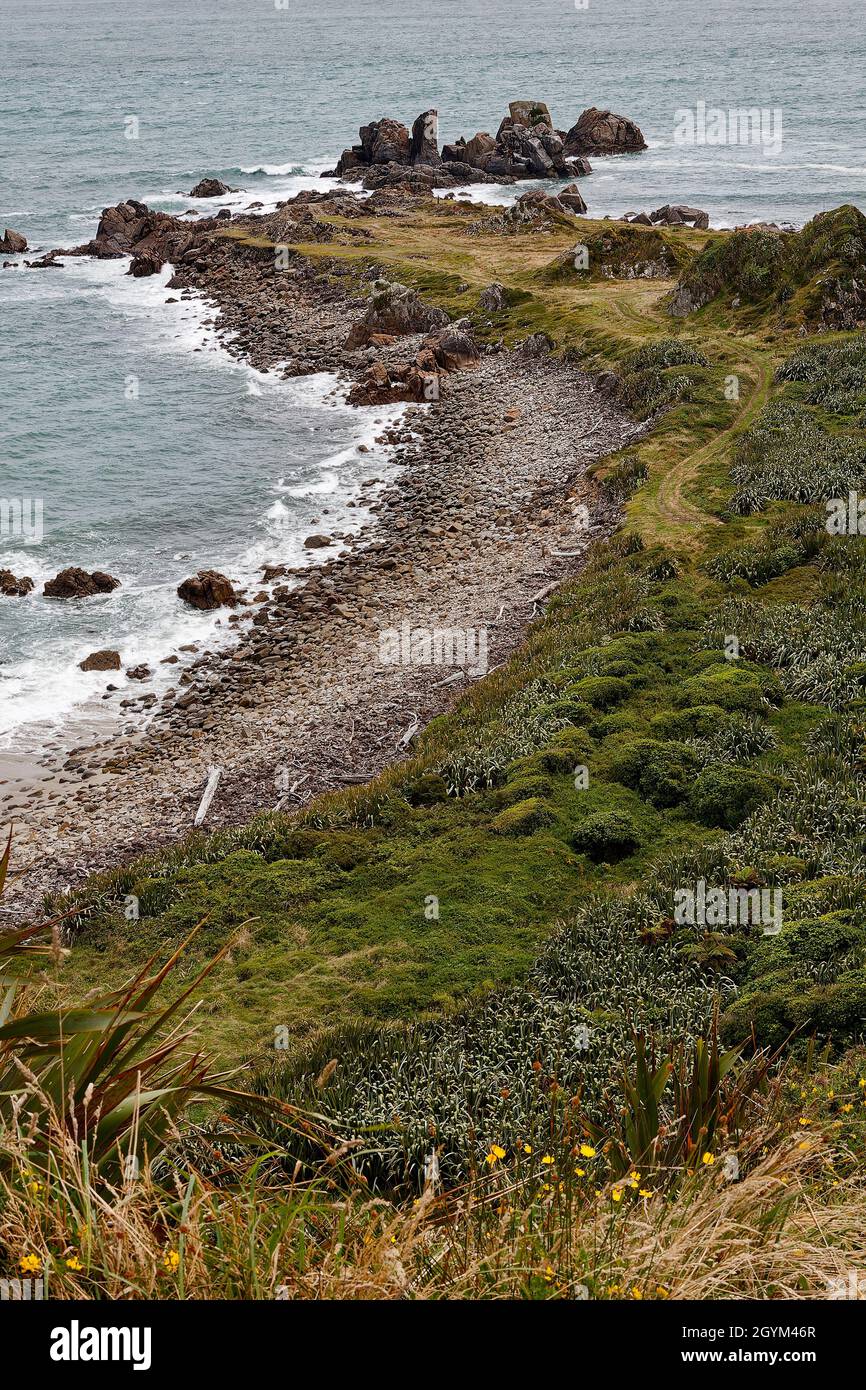 stagcape, paesaggio, costa, acqua, vegetazione, Boulders, Cape Foulwind Walkway, Tasman Sea, Tauranga Bay; West Coast, South Island, Nuova Zelanda Foto Stock