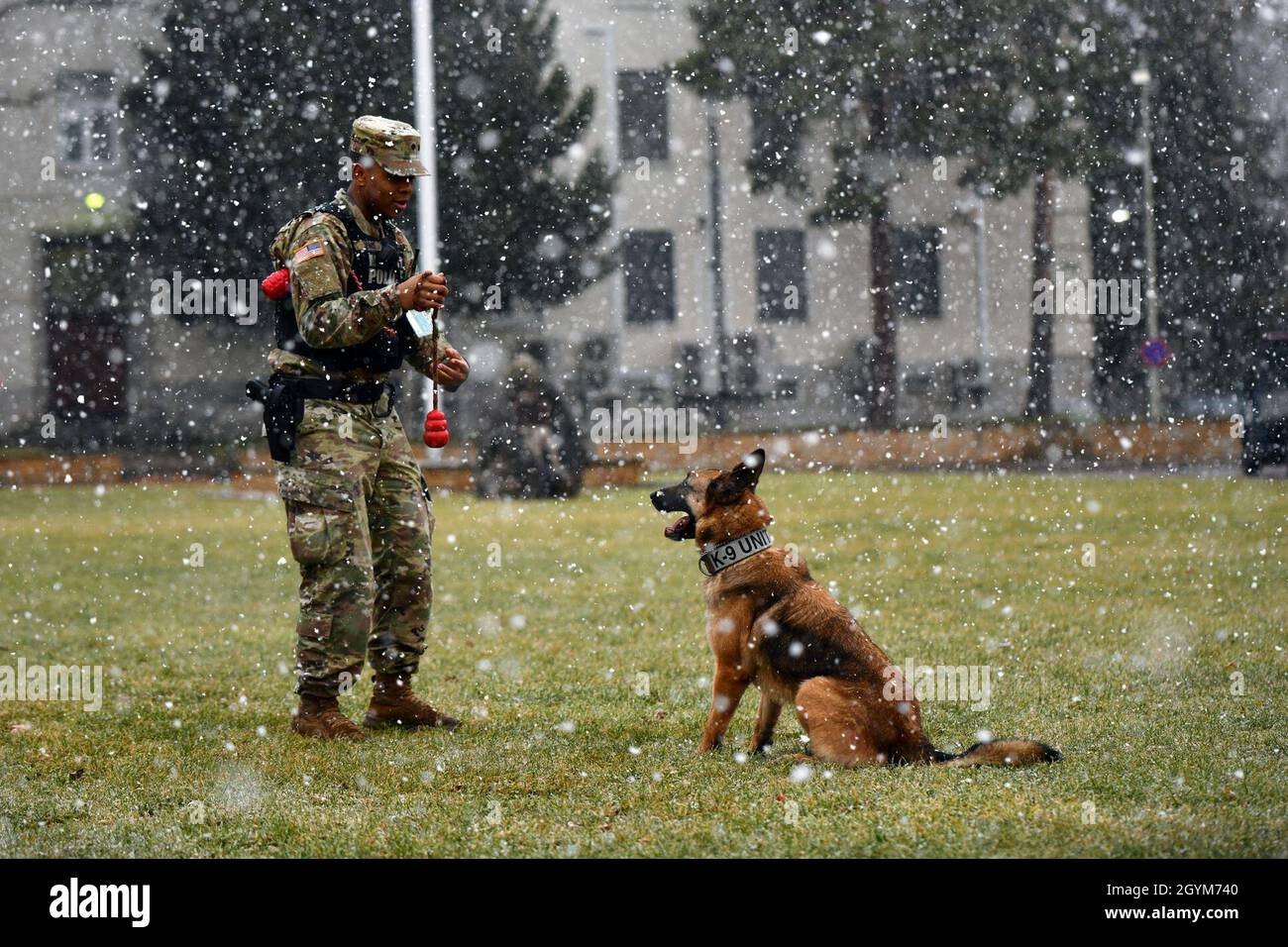 SPC dell'esercito degli Stati Uniti. Jermaine Lewis e Astor, un cane da lavoro militare assegnato al 100esimo distaccamento della polizia militare, 18esimo MP Brigade condurre fuori di guinzaglio obbedienza esercitazioni su Panzer Kaserne, Boeblingen, Germania, 28 gennaio 2020. (STATI UNITI Esercito foto di Jason Johnston) Foto Stock