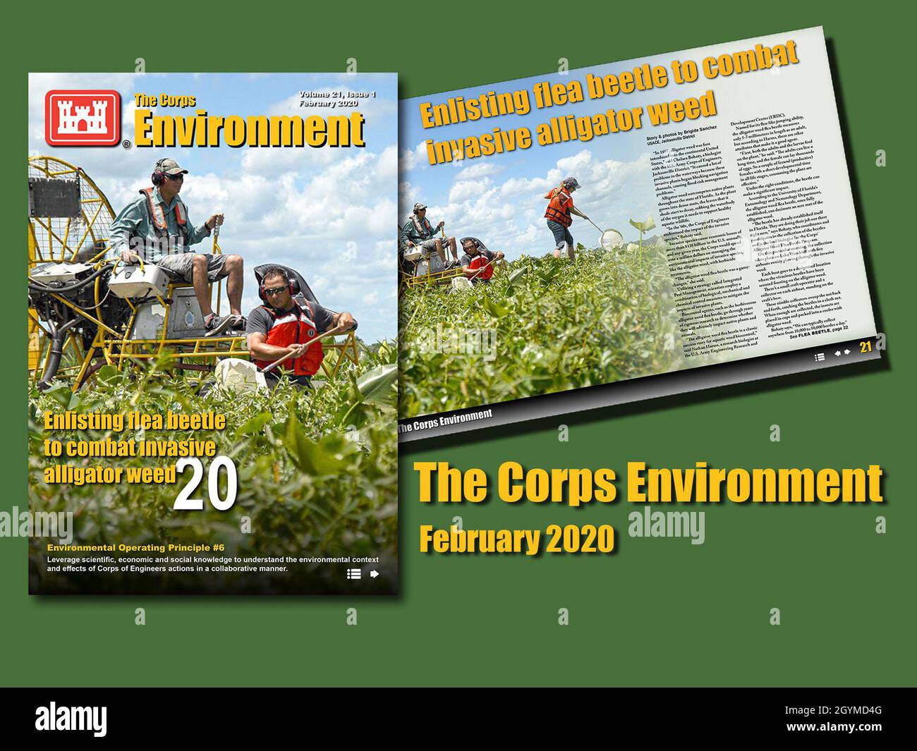 L'edizione di febbraio 2020 del Corps Environment evidenzia il principio di funzionamento ambientale #6, sfrutta le conoscenze scientifiche, economiche e sociali per comprendere il contesto ambientale e gli effetti delle azioni del Corps of Engineers in modo collaborativo. Contiene il commento di Stacey Brown, capo, divisione di pianificazione e politica, corpo degli ingegneri dell'esercito degli Stati Uniti, intitolato collaborazione, chiave di partnership per l'esecuzione del programma; e include articoli che promuovono la diversità marina; partnership di agenzia; protezione degli ecosistemi sensibili; gestori di efficienza delle risorse; rimozione delle munizioni; analisi di terra per Foto Stock