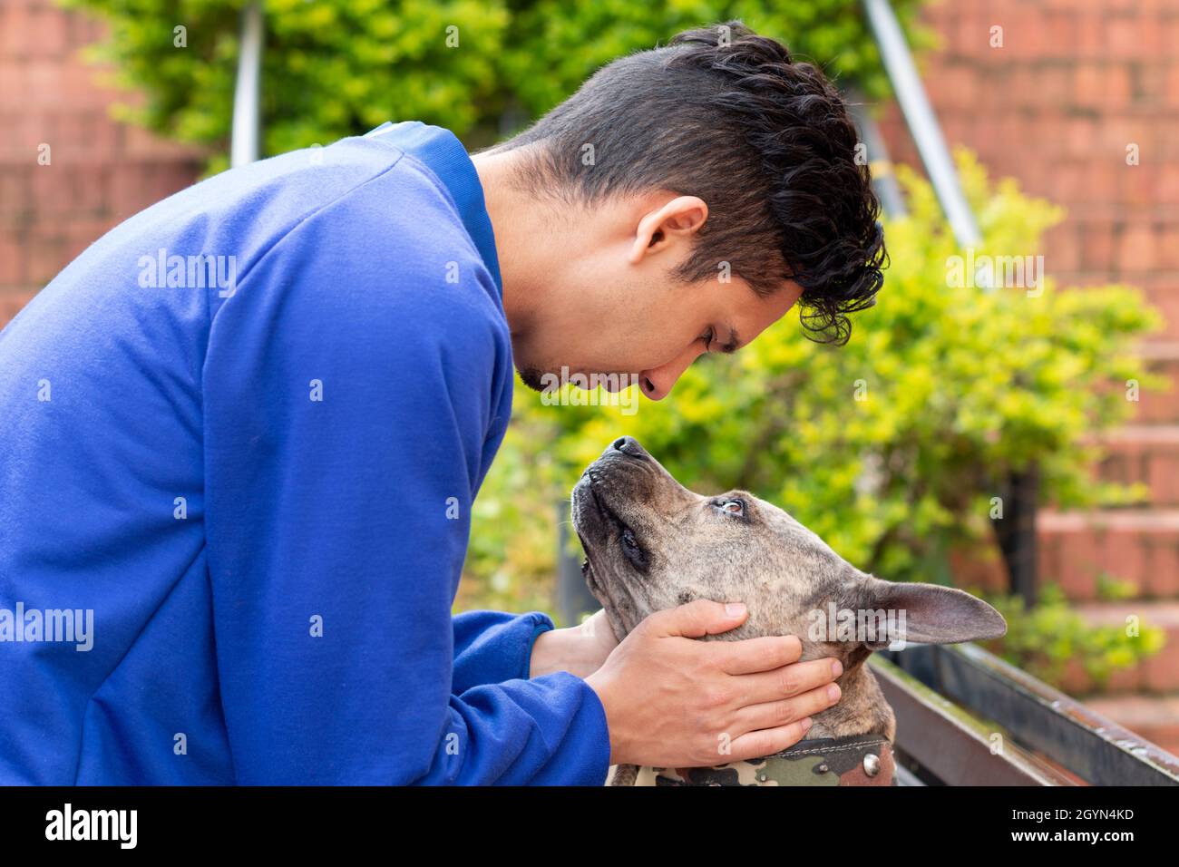 L'uomo bacia il suo carino cane pitbull. Pitbull che non è pericoloso. Cane di colore brindle. Foto orizzontale. Foto Stock