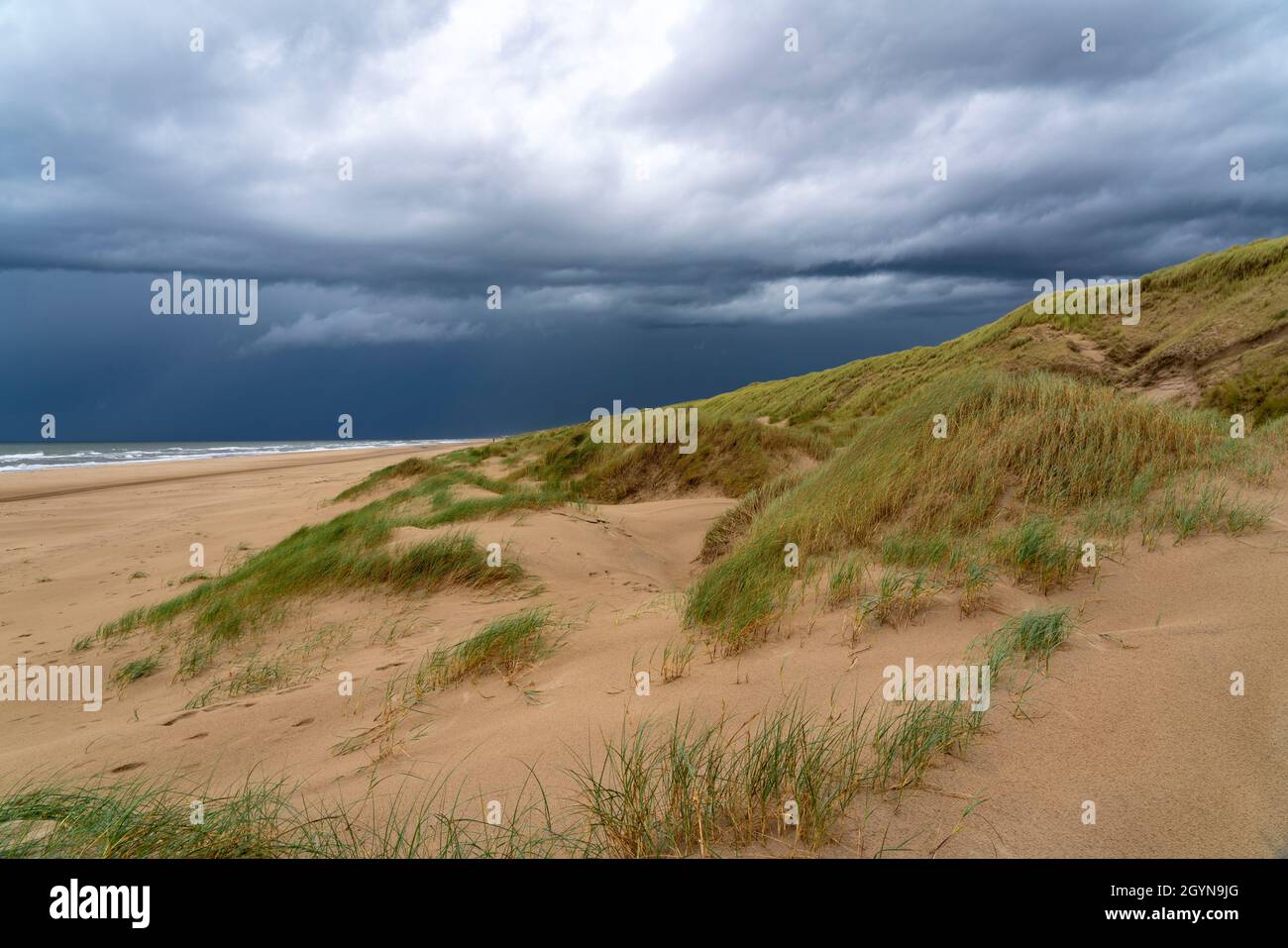 Paesaggio delle dune, spiaggia, nuvole di tempesta scura, autunno sul Mare del Nord in Olanda del Nord, tra le città di Egmond aan Zee e Bergen aan Zee, Paesi Bassi Foto Stock