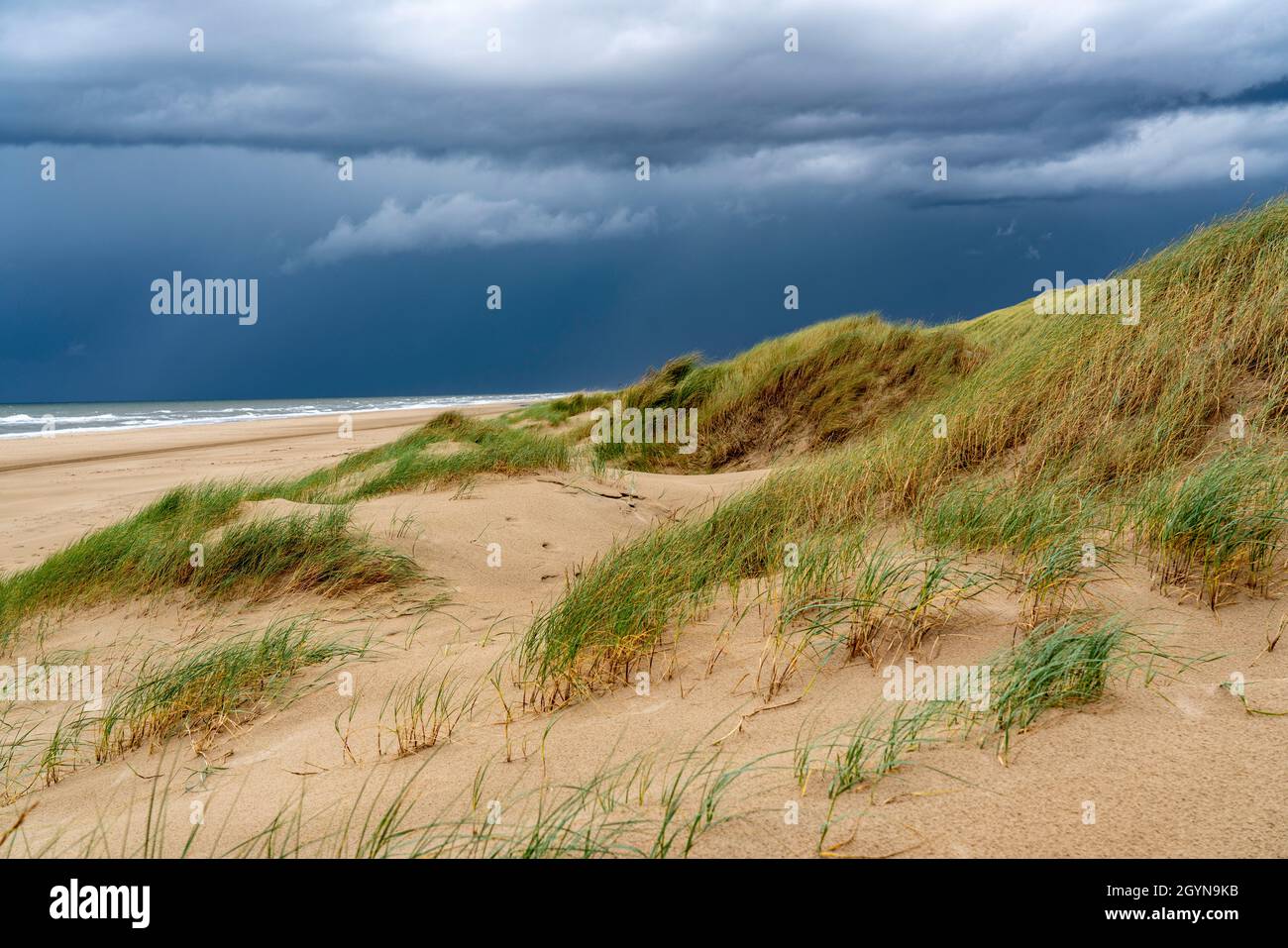 Paesaggio delle dune, spiaggia, nuvole di tempesta scura, autunno sul Mare del Nord in Olanda del Nord, tra le città di Egmond aan Zee e Bergen aan Zee, Paesi Bassi Foto Stock