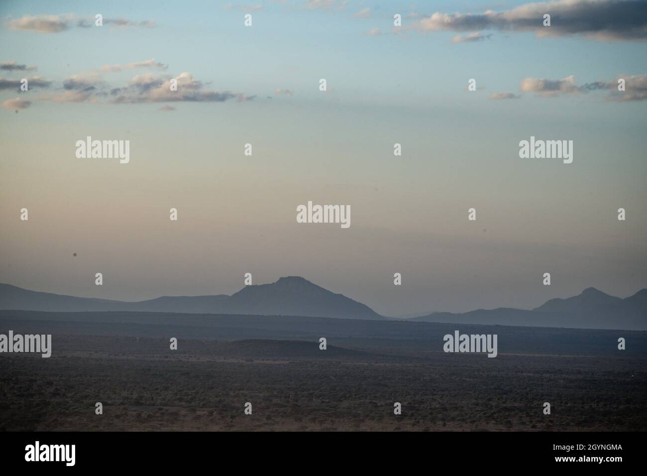 Incontra animali selvatici come la Giraffa che attraversa la strada Oloitoktok e il monte Vista sul Kilimanjaro - Parco Nazionale Amboseli Foto Stock