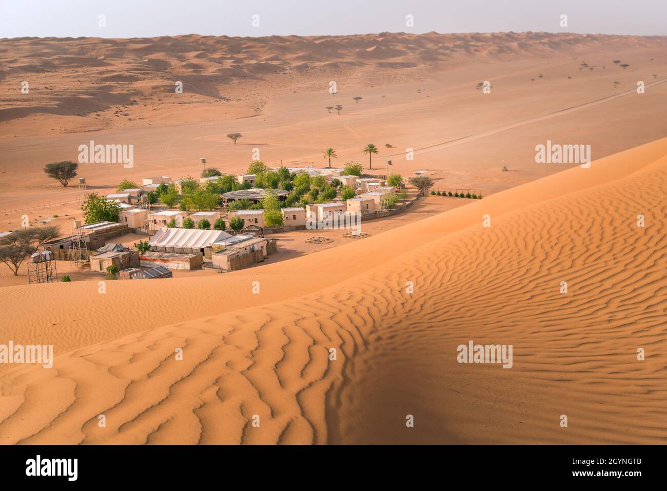 Piccolo accampamento con alberi nel mezzo del deserto arabo. Oasi a Wahiba Sands, Oman. Giornata calda nelle dune della penisola araba. Foto Stock
