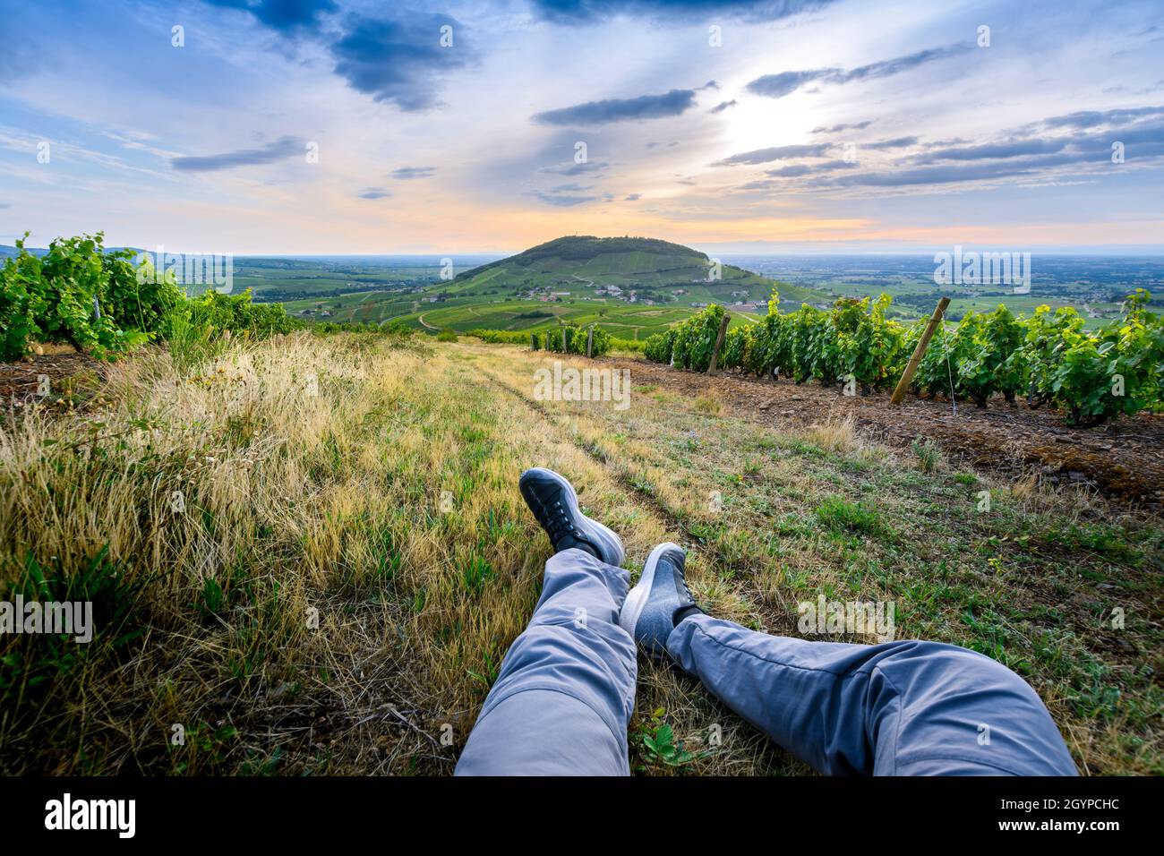 Pieds d'un randonneur dans les vignes autour du Mont Brouilly, Beaujolais, Francia Foto Stock